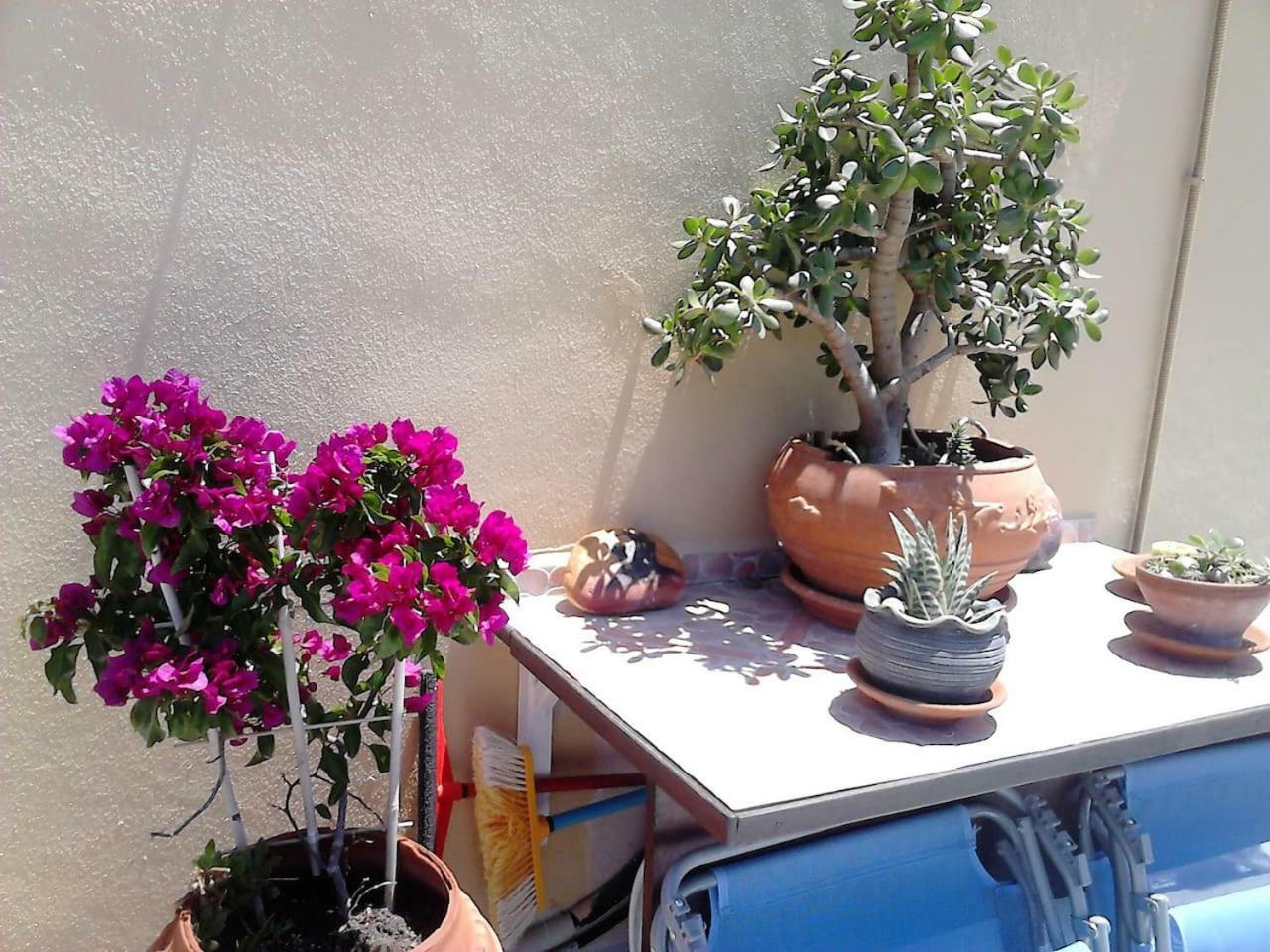 Park House -Beside The Medieval Town Of Rhodes Rhodes City エクステリア 写真